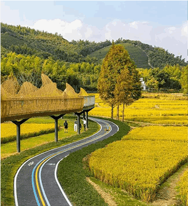 品牌建设