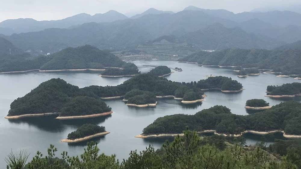 海森设计团队到杭州千岛湖进贤湾项目考察调研