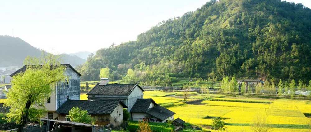 乡村旅游的换代升级