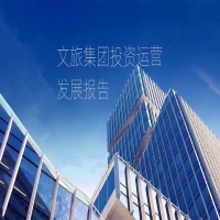 2024年文旅集团投资运营发展报告