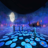 解读《智慧旅游 沉浸式体验空间要求与评价》核心要点