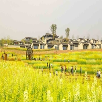 一个好的农旅项目规划要点有哪些？