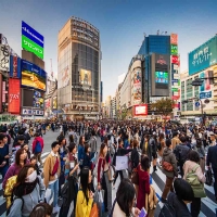 8天8090.06亿元！国庆中秋假期文旅消费五大新趋势